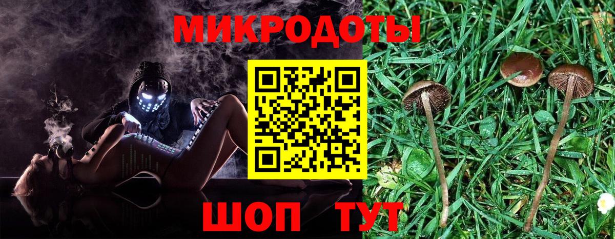 Галлюциногенные грибы GOLDEN TEACHER Чебаркуль