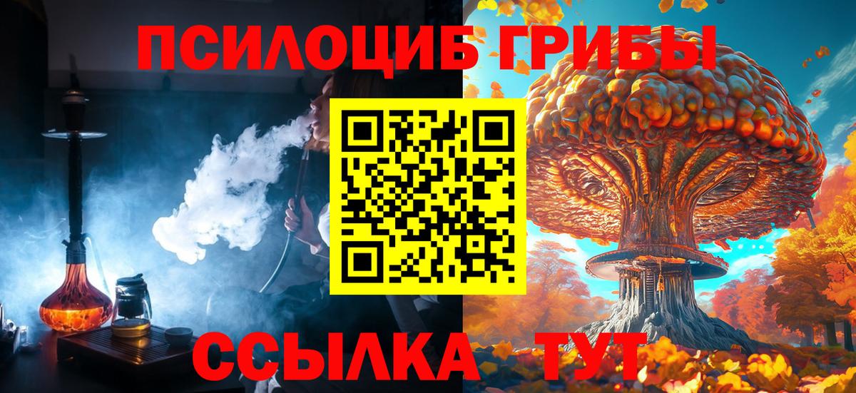 Чебаркуль  Галлюциногенные грибы Magic Shrooms  Вход с VPN 